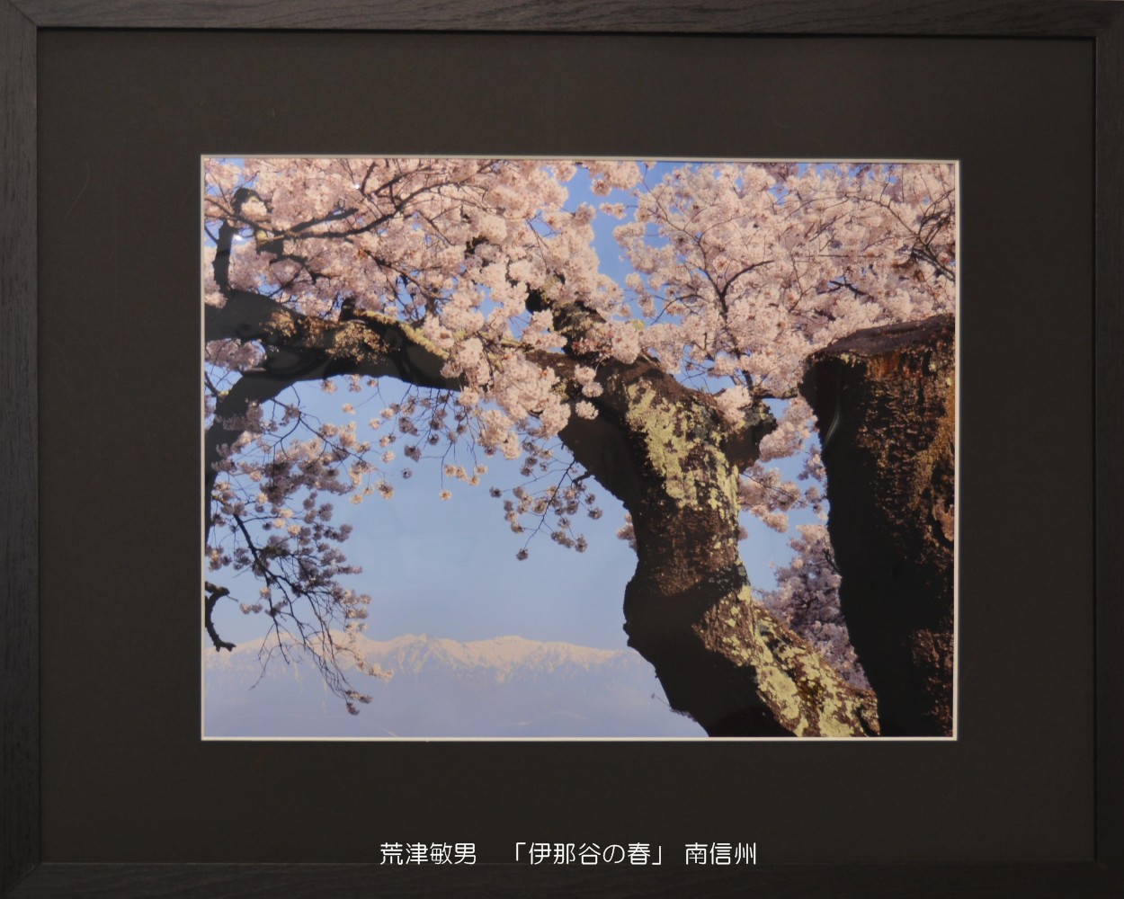 豊橋写真クラブ　写真展