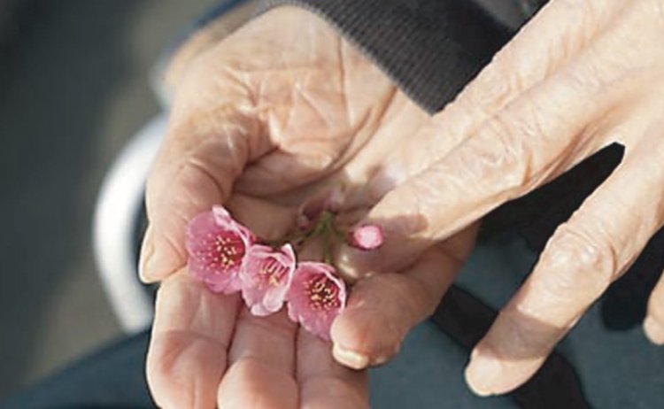 闘病しながら元気を届け続ける 「平成の花咲か爺さん」