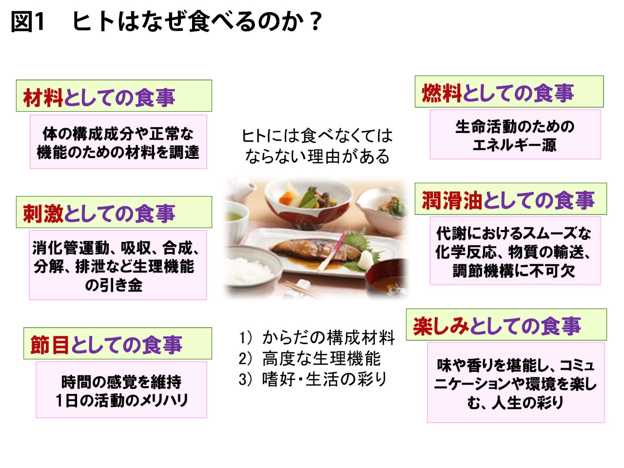 からしか取れない栄養があるとはどういう意味ですか？