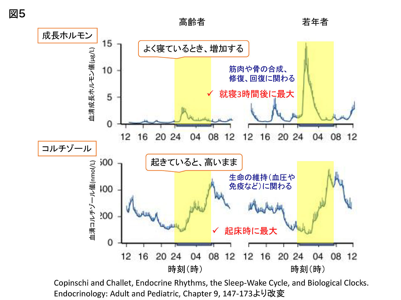 Vol 18 寝る子は育つ は子どもだけにあらず よくない睡眠 がからだに及ぼす影響とは 医療法人 澄心会 豊橋ハートセンター