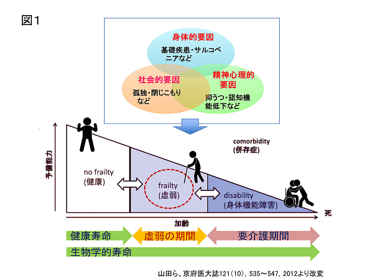 寿命 を 縮め たい