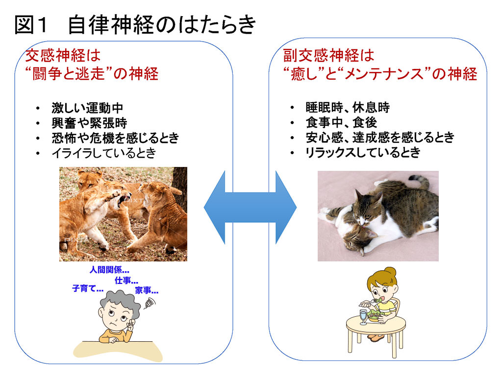 息苦しい 夜中 睡眠中に息が苦しい理由を解説します【岐阜駅近く】