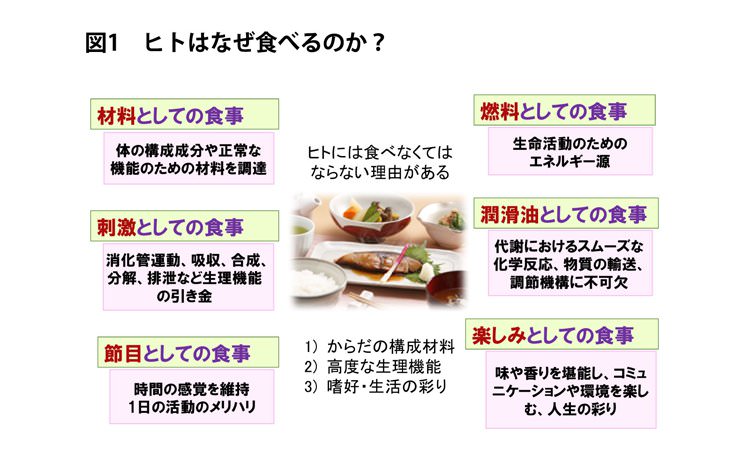 Vol.17：ヒトはなぜ食べるのか？