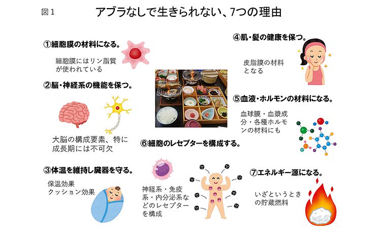 Vol.23：アブラがなければ生きられない！アンチエイジングに脂質が必要なワケ