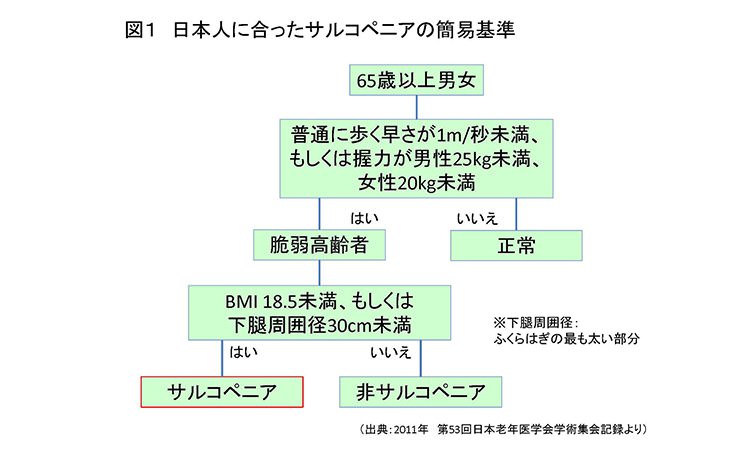 Vol.25：老化だから仕方ない？と放ってはおけません…筋肉が減る（サルコペニア）と心臓に負担がかかる