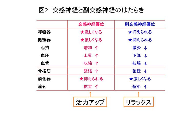 Vol.29：ストレスが過度になるまえに「休養もトレーニングのうち」