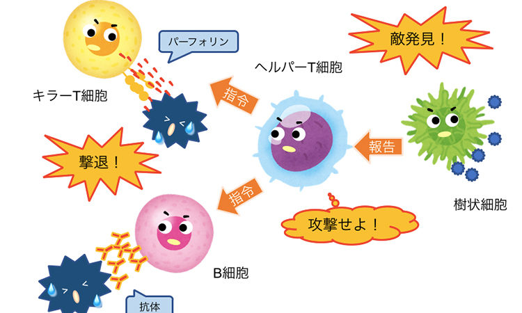 Vol.43：免疫力を維持して厳しい季節を乗り切る