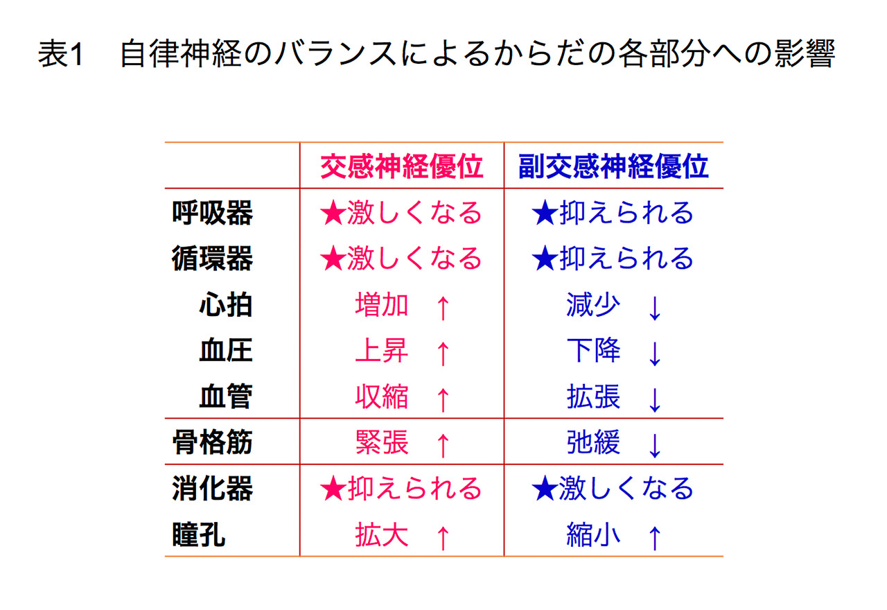 Vol 45 そのドキドキの原因は 自律神経の乱れ 医療法人 澄心会 豊橋ハートセンター