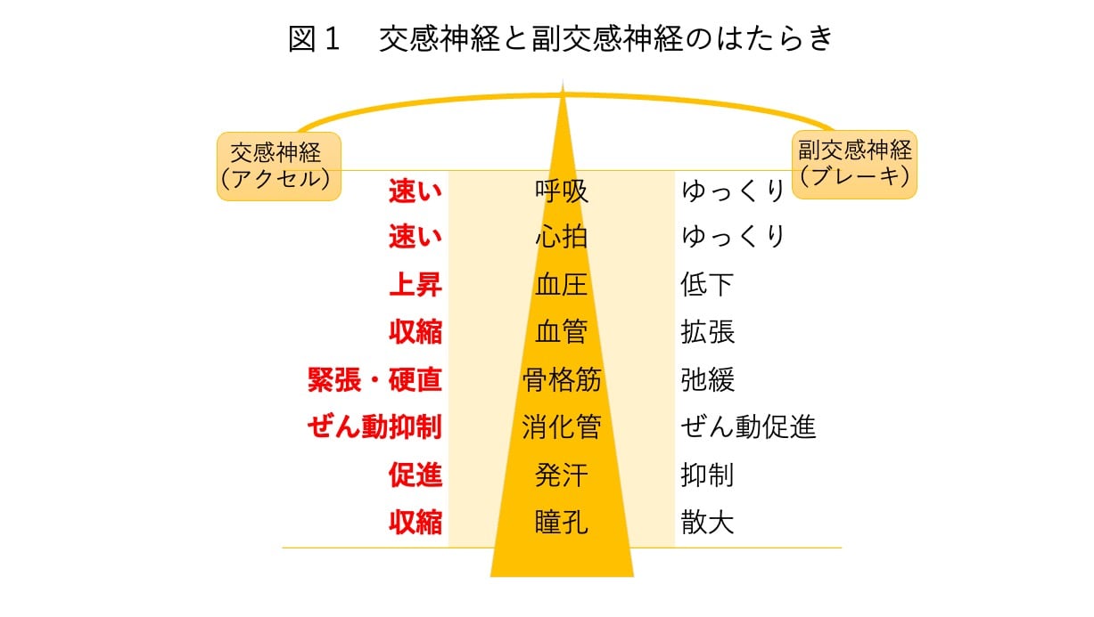 ポジティブなセルフトークを使う