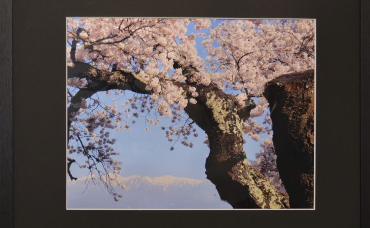 豊橋写真クラブ　写真展